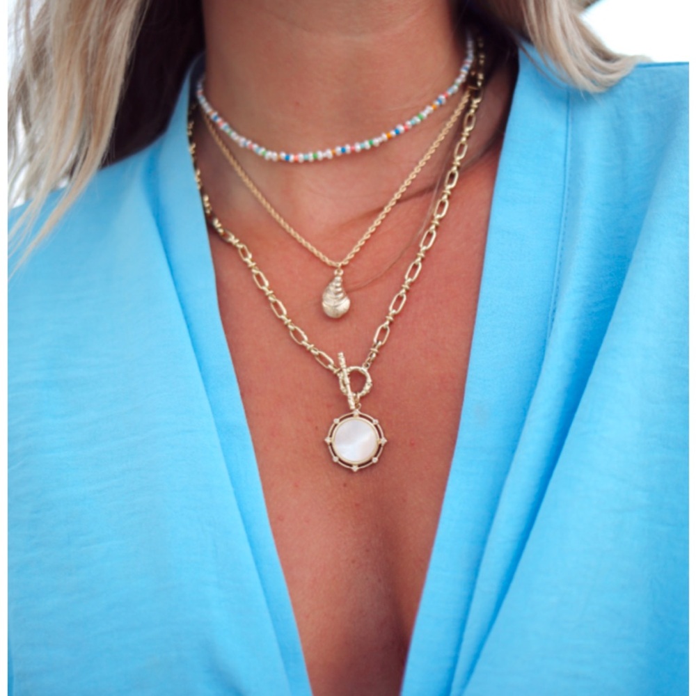 Electric Picks Santa Cruz medallion necklace